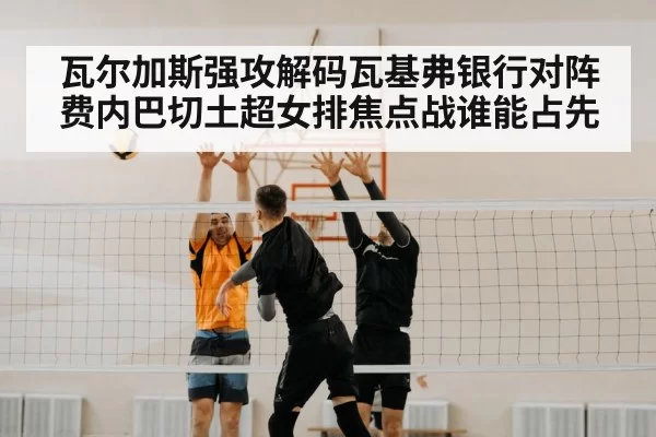 volleyball block net