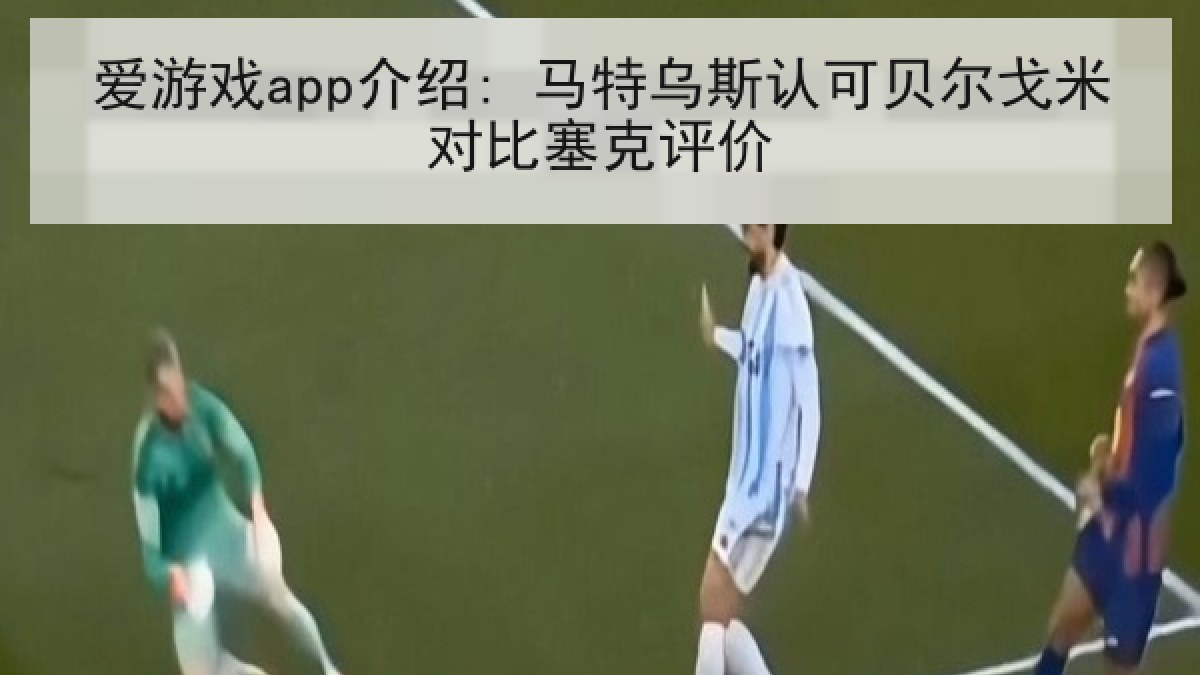 爱游戏app介绍: 马特乌斯认可贝尔戈米对比塞克评价